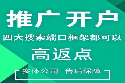 百度平台推广：成功案例解析与效果分析